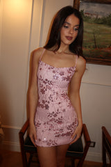 Aurora Shine Dress